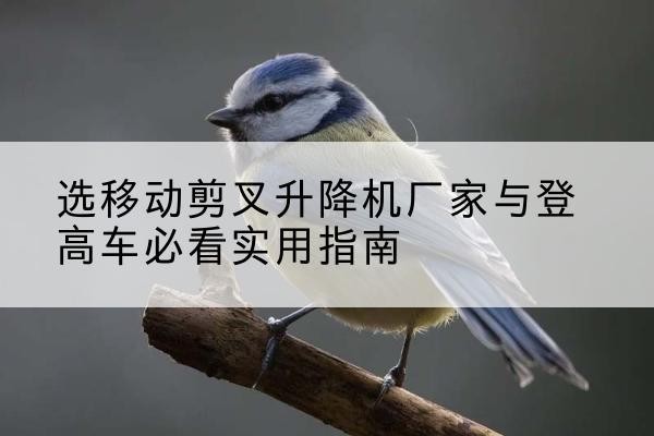 田林电动升降机厂家-选移动剪叉升降机厂家与登高车必看实用指南