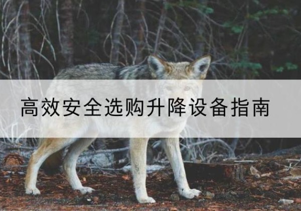 田林升降货梯厂家推荐-*安全选购升降设备指南