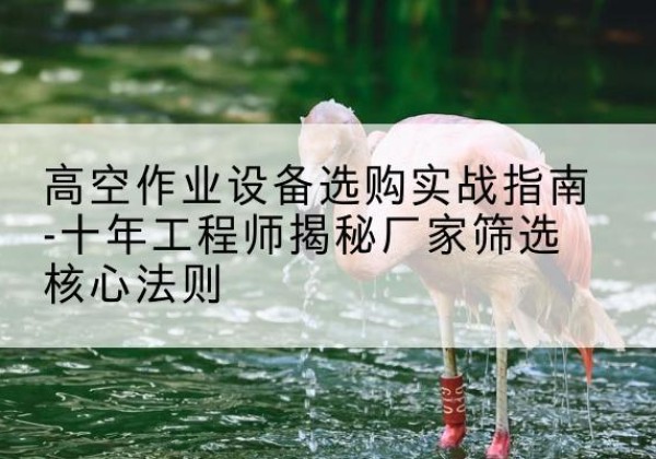 田林剪叉式升降机厂家-高空作业设备选购实战指南-十年工程师揭秘厂家筛选核心法则